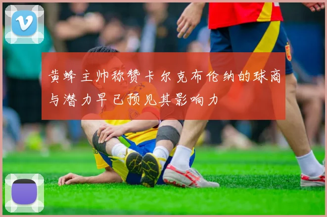 黄蜂主帅称赞卡尔克布伦纳的球商与潜力早已预见其影响力