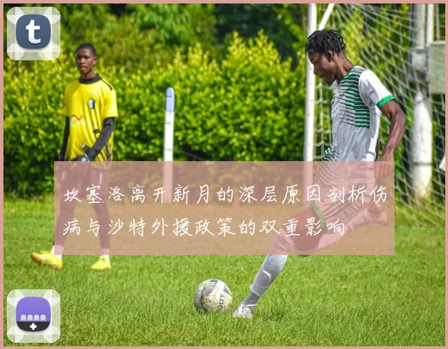 坎塞洛离开新月的深层原因剖析伤病与沙特外援政策的双重影响