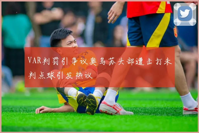 VAR判罚引争议奥乌苏头部遭击打未判点球引发热议