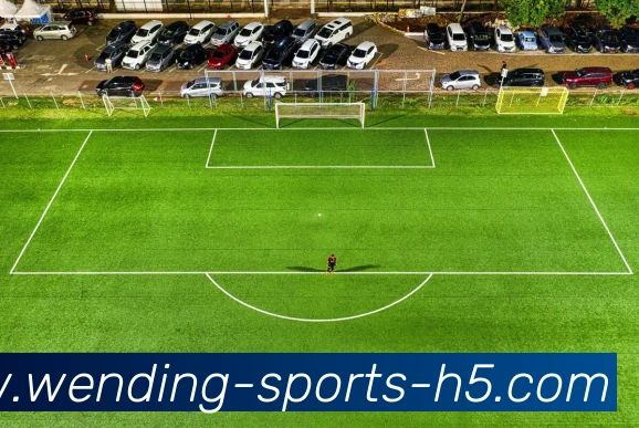 问鼎娱乐APP 高清赛事图